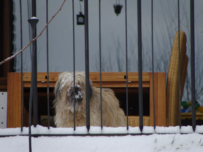 tessa hinter Gittern