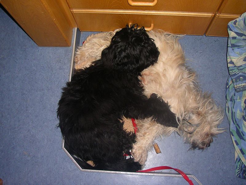tessa+merlin10