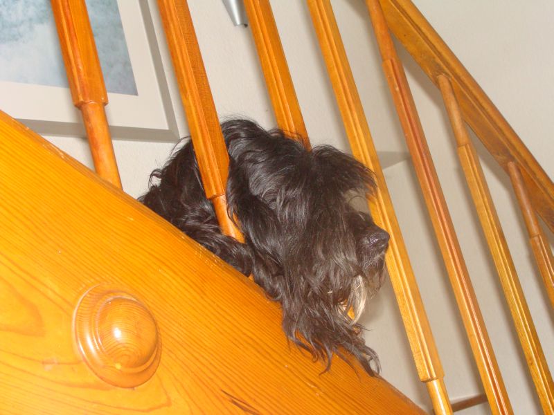 treppe1