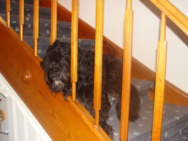 treppe2