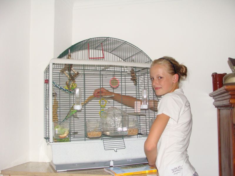 vogel1
