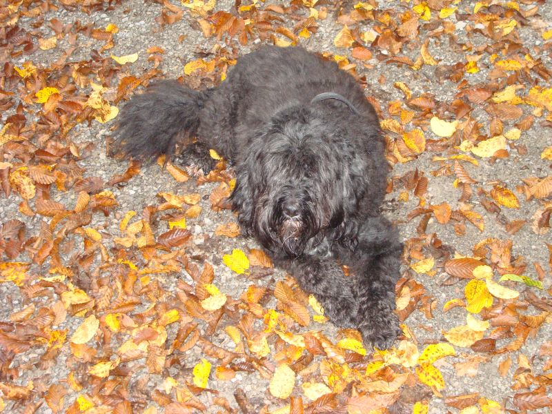 wald5
