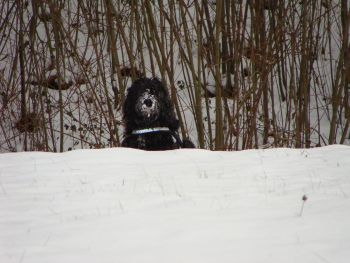 wi16