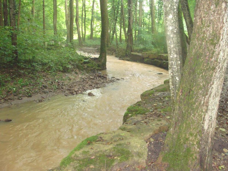 wstenbach