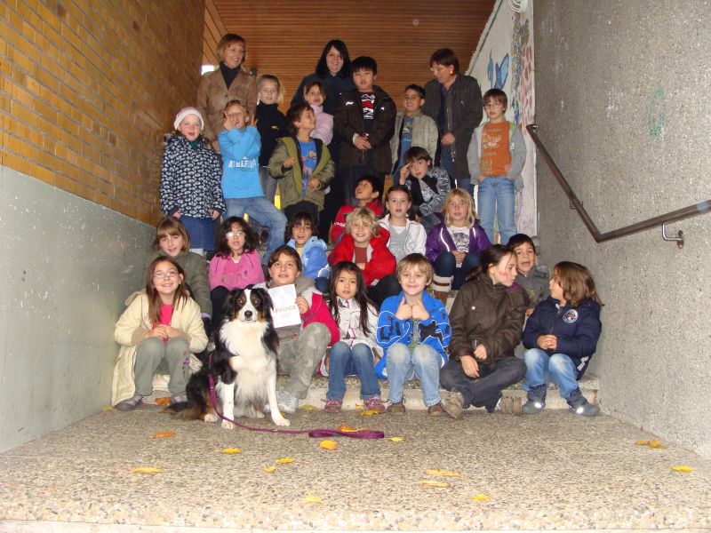 wzswn2010